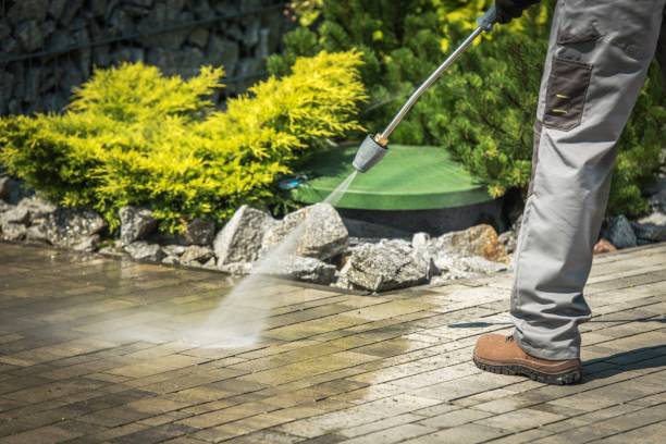 Best Roof Washing  in Utica, MI