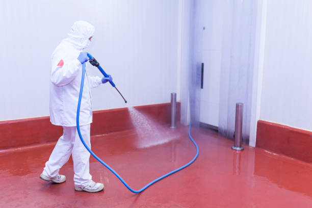 Professional Pressure Washing in Utica, MI